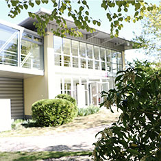 Chirurgie-I Sprechstunde Fruehling Park Policura