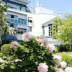 Aussenansicht des St. Elisabeth Krankenhauses, Park im Frühling